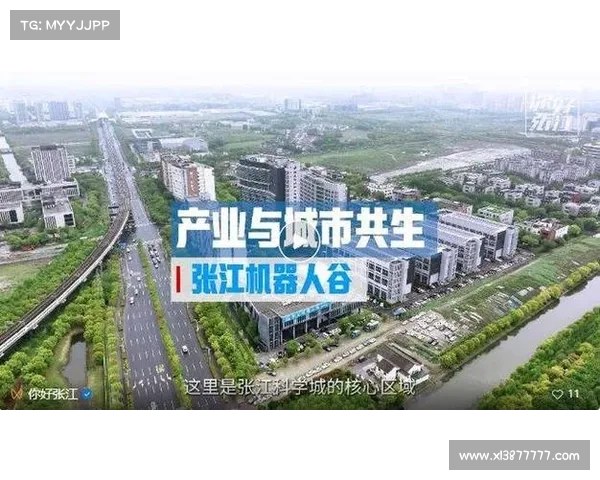 以期北盟为核心推动区域合作探索新发展模式促进共同繁荣与安全稳定 以期北盟为核心推动区域合作探索新发展模式促进共同繁荣与安全稳定